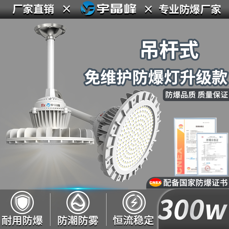 吊杆式免维护防爆灯升级款-300w